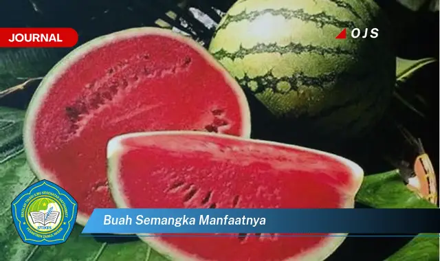 buah semangka manfaatnya