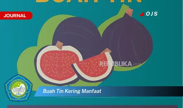 buah tin kering manfaat