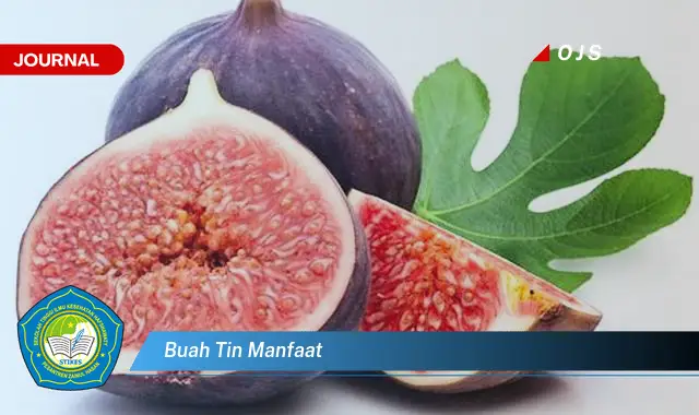 buah tin manfaat buah tin manfaat