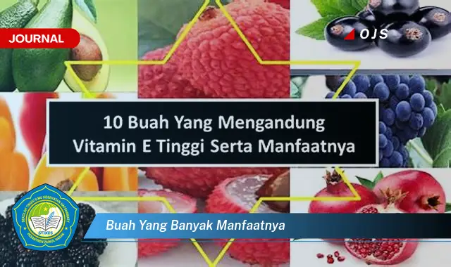 buah yang banyak manfaatnya