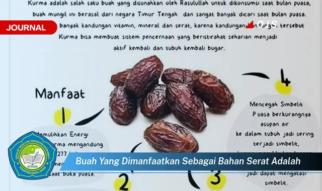 buah yang dimanfaatkan sebagai bahan serat adalah