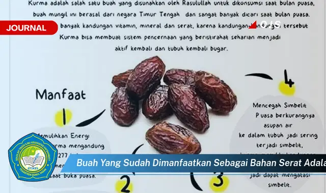 buah yang sudah dimanfaatkan sebagai bahan serat adalah