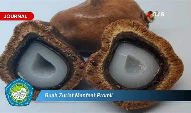 buah zuriat manfaat promil