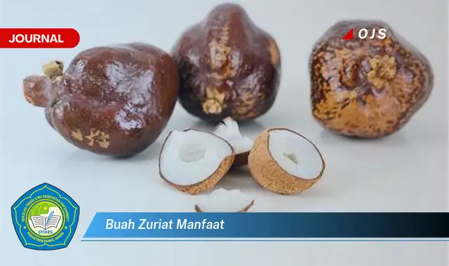 buah zuriat manfaat