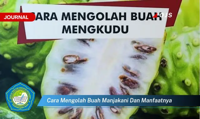 cara mengolah buah manjakani dan manfaatnya