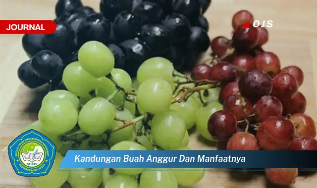 kandungan buah anggur dan manfaatnya