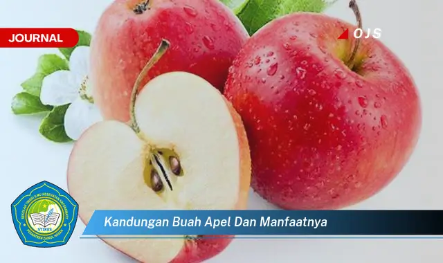 Intip 6 Manfaat Buah Apel yang Bikin Kamu Penasaran - E-Journal