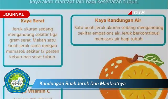 kandungan buah jeruk dan manfaatnya