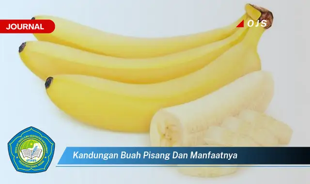 kandungan buah pisang dan manfaatnya