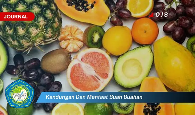 kandungan dan manfaat buah buahan