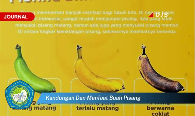kandungan dan manfaat buah pisang