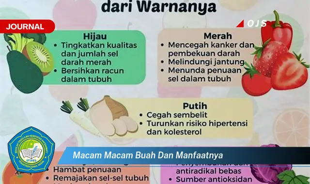 macam macam buah dan manfaatnya