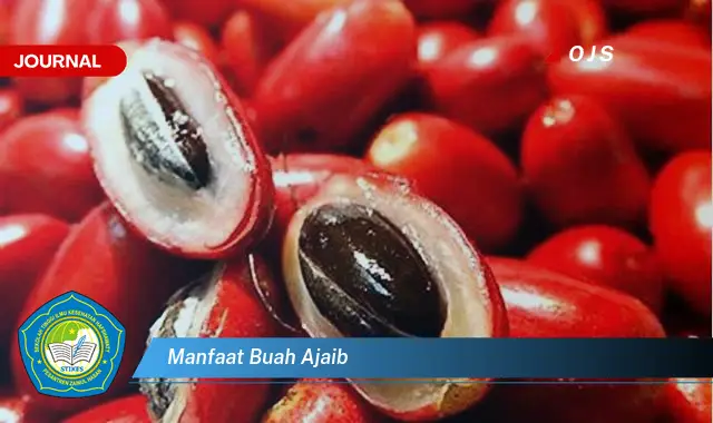 manfaat buah ajaib