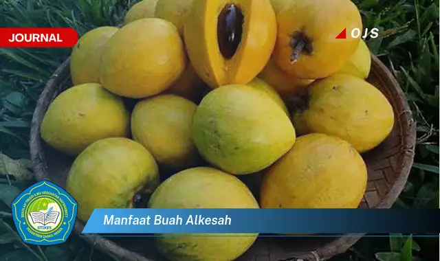 manfaat buah alkesah