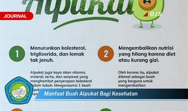 manfaat buah alpukat bagi kesehatan