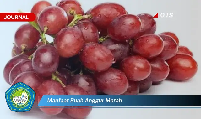 manfaat buah anggur merah