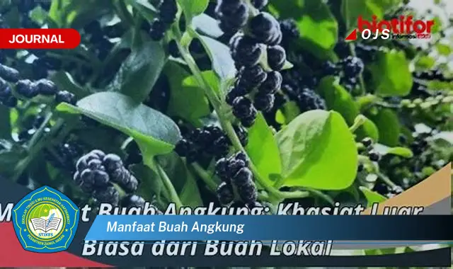 manfaat buah angkung