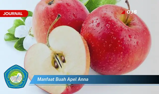 manfaat buah apel anna