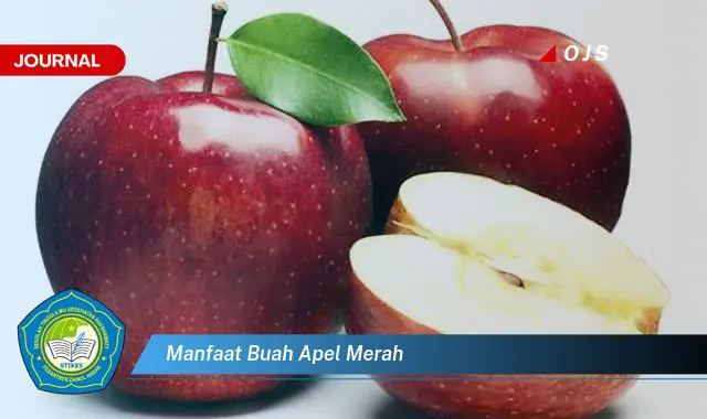 manfaat buah apel merah