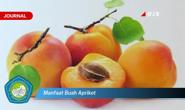 manfaat buah aprikot