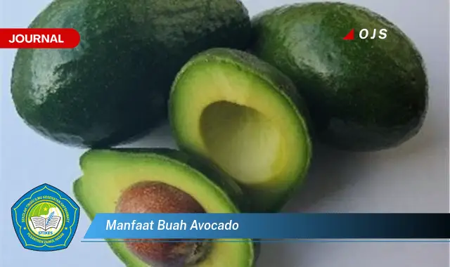 manfaat buah avocado