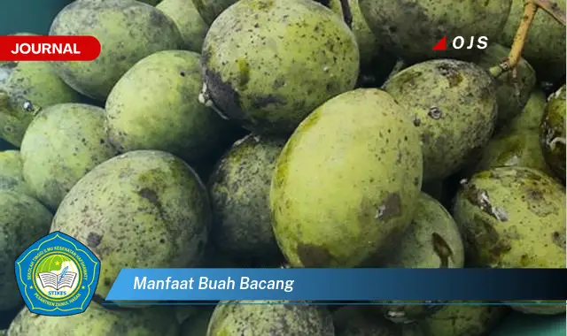 manfaat buah bacang