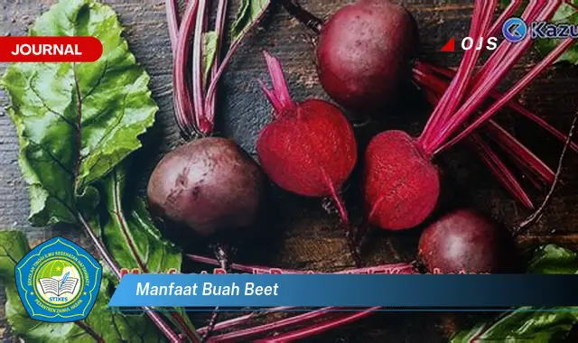 manfaat buah beet