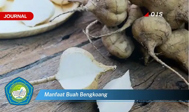 manfaat buah bengkoang