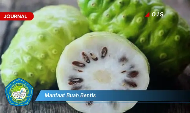 manfaat buah bentis