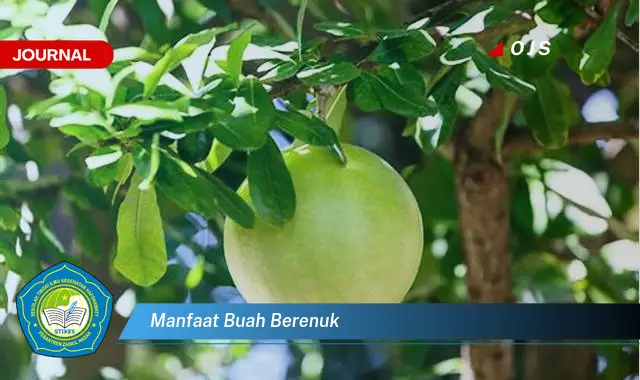 manfaat buah berenuk