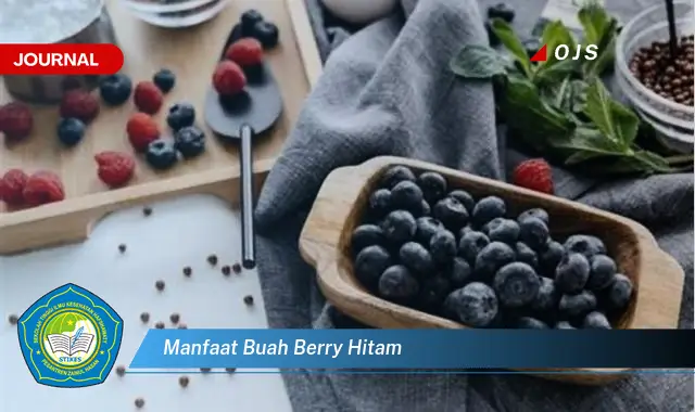 manfaat buah berry hitam