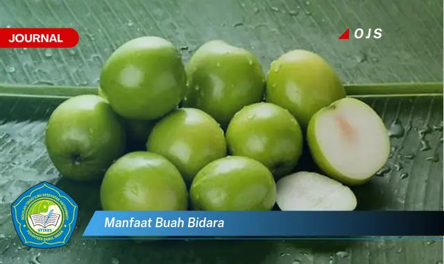 manfaat buah bidara