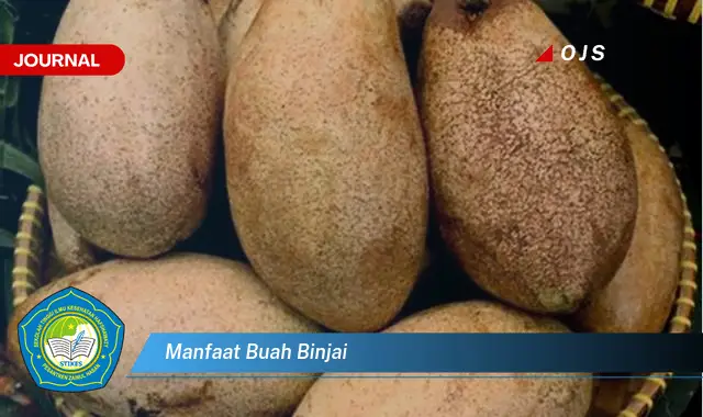 manfaat buah binjai