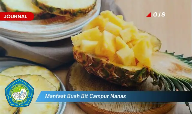 manfaat buah bit campur nanas