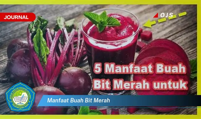 manfaat buah bit merah