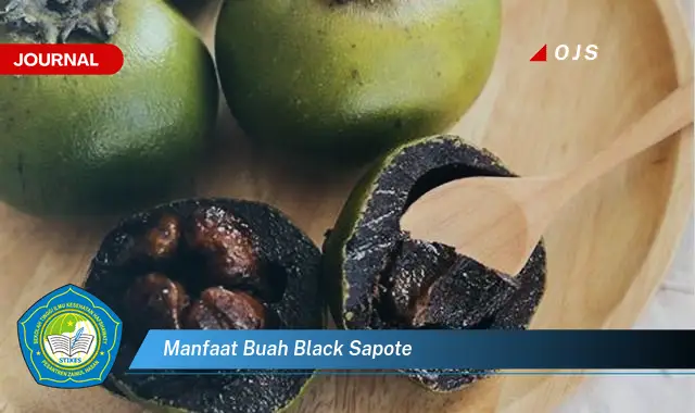 manfaat buah black sapote manfaat buah black sapote