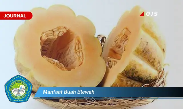 manfaat buah blewah