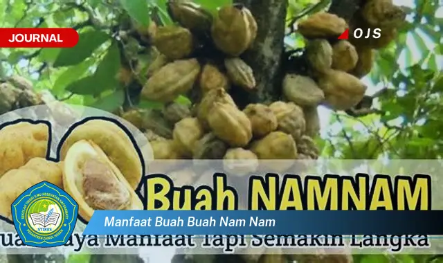 manfaat buah buah nam nam