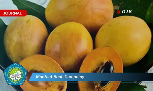 manfaat buah campolay