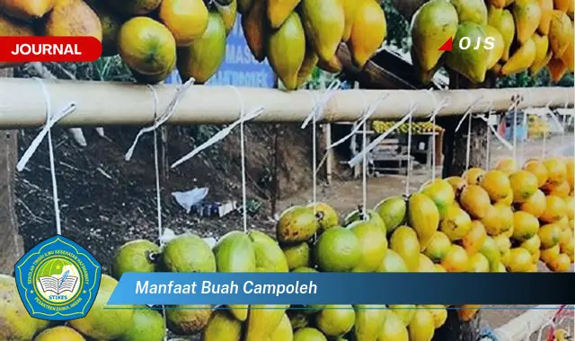 manfaat buah campoleh manfaat buah campoleh