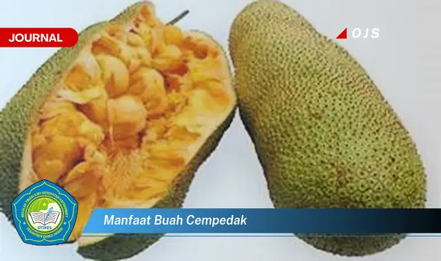 manfaat buah cempedak