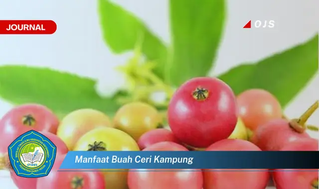 manfaat buah ceri kampung