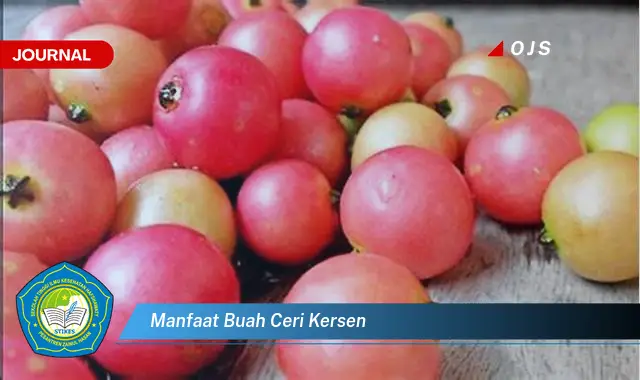 manfaat buah ceri kersen