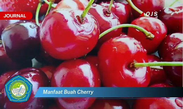 manfaat buah cherry