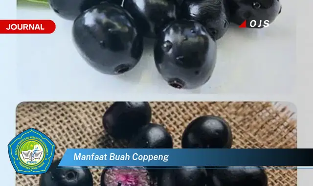 manfaat buah coppeng