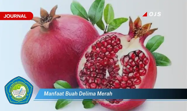 manfaat buah delima merah