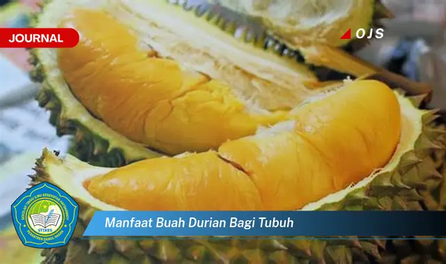 manfaat buah durian bagi tubuh