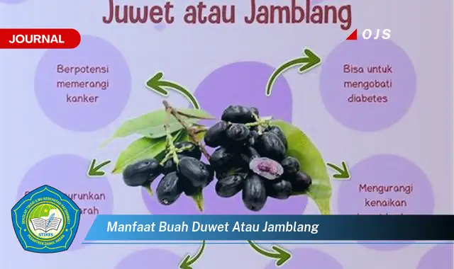 manfaat buah duwet atau jamblang