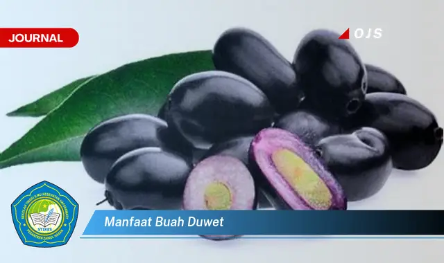 manfaat buah duwet