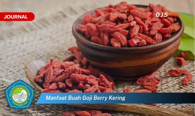 manfaat buah goji berry kering